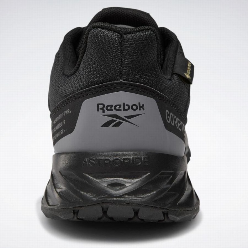 Reebok Astroride Trail Gtx 2.0 Women's Walking Shoes Black Grey | LJJ313AO