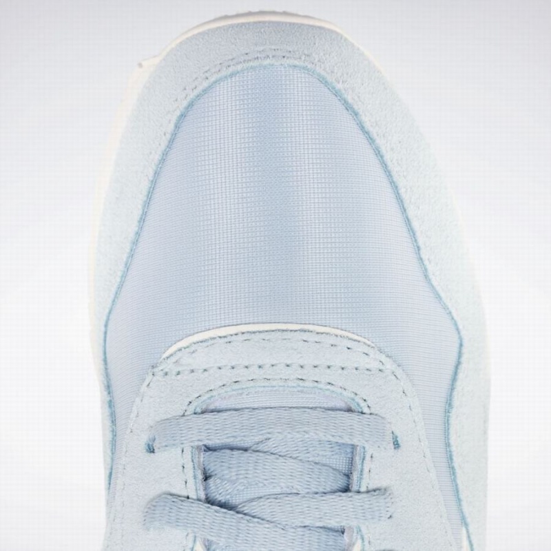 Reebok Classic Nylon Women's Shoes Blue White | XCA7763XE