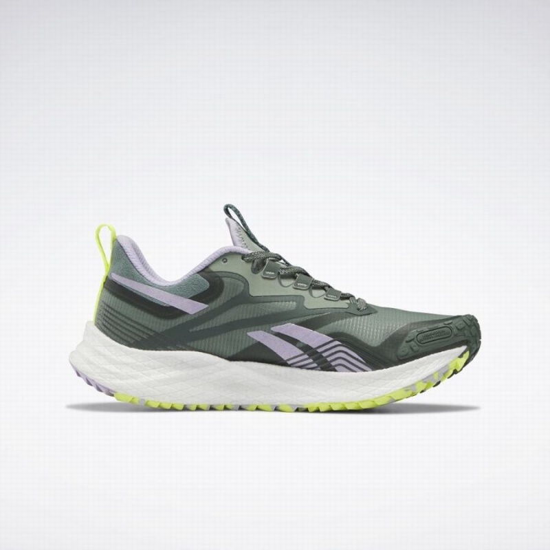Reebok Floatride Energy 4 Adventure Women's Walking Shoes Green Purple | JDH3419QD