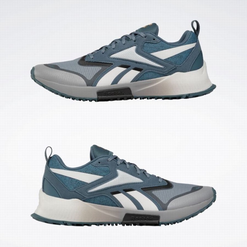Reebok Lavante Trail 2 Men's Running Shoes Blue Grey White | QVI637YR