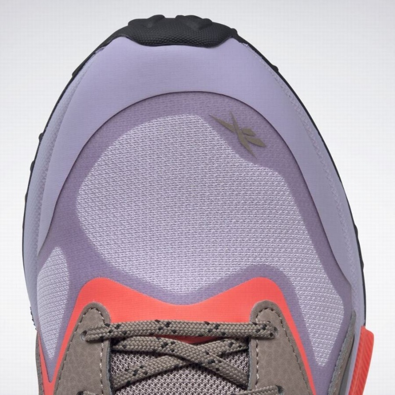 Reebok Lavante Trail 2 Women's Walking Shoes Purple Grey Brown Black | QRB4720IT