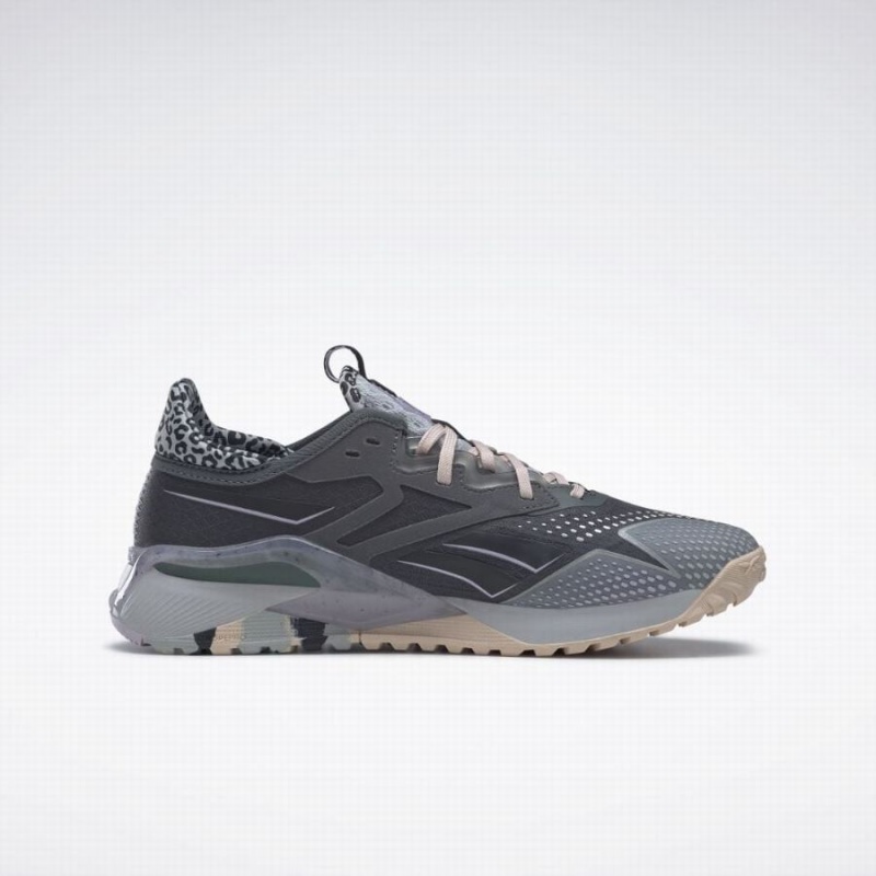 Reebok Nano X2 Tr Adventure Women\'s Training Shoes Grey | YPK9172YF